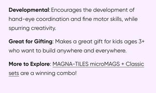 microMAGS 20 Piece Combo Set