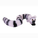 Ring Tailed Lemur