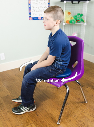 Sit & Twist Active Seat Cushion by Bouncyband®