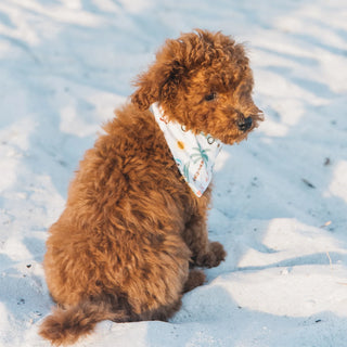 Coastal Christmas Bamboo Pet Bandana