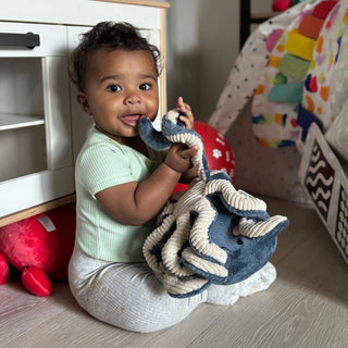 Ollie the Octopus | Sweetie Snuggles™ Plush