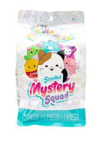 Squishmallows™ 5 Inch Scented Food Mystery Plush Blind Bag