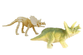 Dinos & Bones