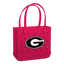 Georgia Bulldogs