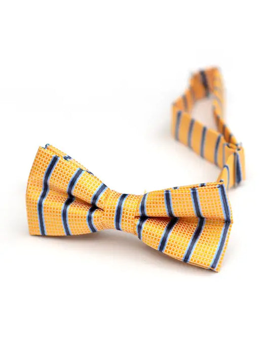 Check & Stripes Bow Tie